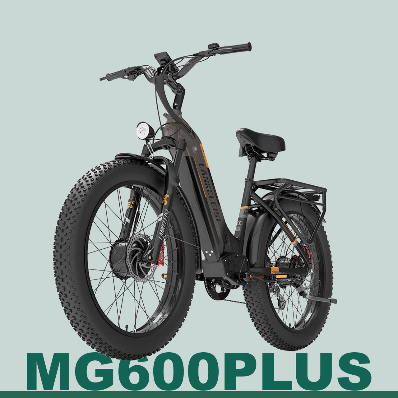 Fat tire electric bike category